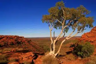 Kings Canyon