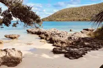 Île Lord Howe Island
